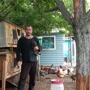 ���������� �������, ���� ������� �������, 41 ���, ������������ ��� c�������� ���������