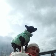 ���������� ����������, ���� ������� ����, 43 ����, ������������ ��� ������, ����� � ���������, c�������� ���������