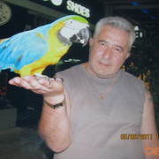  Ramat HaSharon,  alik, 67