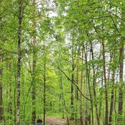 ���������� ������ ��������, ���� ������� Mikhail, 36 ���, ������������ ��� ������, ����� � ���������, c�������� ���������