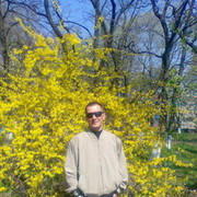  ,   Andrey, 50 ,  