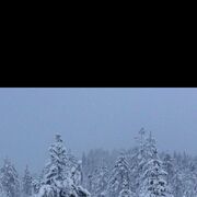 ���������� ������, ���� ������� ���������, 46 ���, ������������ ��� ������, ����� � ���������