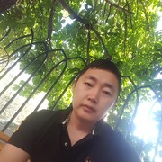  ,   , 83 ,   