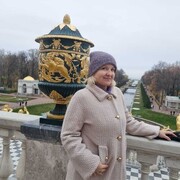 ���������� �����-���������, ���� ������� ������, 48 ���, ������������ ��� c�������� ���������