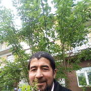 ���������� ������, ���� ������� ����, 44 ����, ������������ ��� ������, ����� � ���������, c�������� ���������