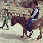 ���������� ������, ���� ������� �����, 33 ����, ������������ ��� ������