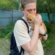 ���������� ������, ���� ����� Ice, 25 ���, ������������ ��� ������, ����� � ���������