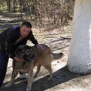  ,   , 54 ,   ,   , c , 