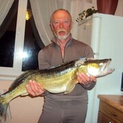 ���������� �����, ���� ������� ������, 66 ���, ������������ ��� ������, ����� � ���������