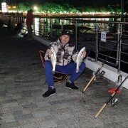 ���������� ���������, ���� ������� ������, 44 ����, ������������ ��� ������, ����� � ���������, c�������� ���������, ���������