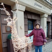  ,   , 53 ,   ,   