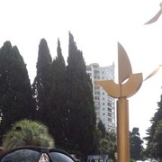  ,   , 41 ,   ,   