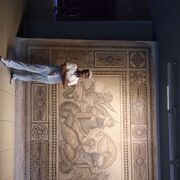  Alanya,    , 48 ,   ,   