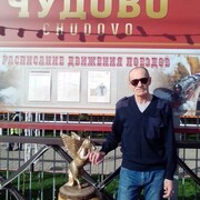 ���������� �����-���������, ���� ������� �������, 56 ���, ������������ ��� ������, ���������