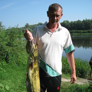  ,   , 51 ,   