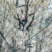 ���������� ������������, ���� ������� ������, 27 ���, ������������ ��� ������, ����� � ���������