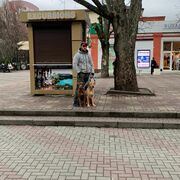 ���������� �����-���������, ���� ������� �����, 38 ���, ������������ ��� ������, ����� � ���������