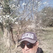  ,   Tariel, 71 ,  