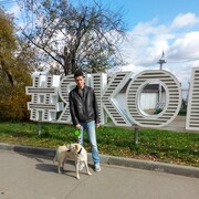 ���������� �������, ���� ������� ����������, 39 ���, ������������ ��� ������, ����� � ���������, c�������� ���������