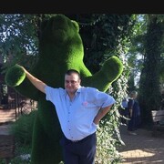 ���������� ���������, ���� ������� ������, 43 ����, ������������ ��� ������, ����� � ���������, c�������� ���������