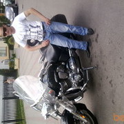 ���������� �����, ���� ������� ������, 38 ���, ������������ ��� ������, ���������