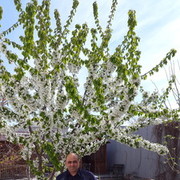 ���������� ���������, ���� ������� Ashot, 53 ����, ������������ ��� ������, ����� � ���������, c�������� ���������