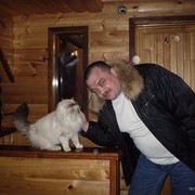  ,   , 50 ,   