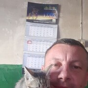  ,  , 44