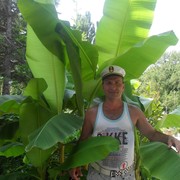  ,   , 62 ,   ,   , c 