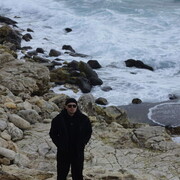 ���������� �����������, ���� ������� ���������, 29 ���, ������������ ��� ������, ����� � ���������