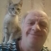  ,   , 60 ,   ,   