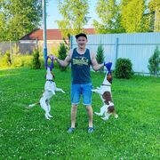 ���������� ������, ���� ������� �������, 35 ���, ������������ ��� ������, ����� � ���������, c�������� ���������, ���������