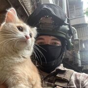 ���������� ������, ���� ����� ������, 23 ����, ������������ ��� c�������� ���������