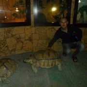  ,   , 40 ,   ,   , c 