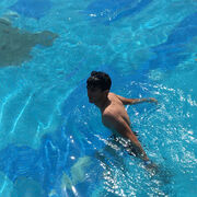 ���������� ���������, ���� ������� ����, 28 ���, ������������ ��� ������, ����� � ���������, c�������� ���������, ���������