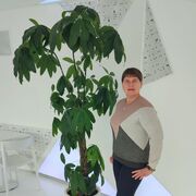  ,   Nata, 50 ,     , c , 