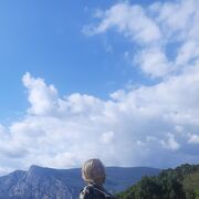 ���������� �����������, ���� ������� ������, 41 ���, ������������ ��� ������, ����� � ���������, c�������� ���������, ���������