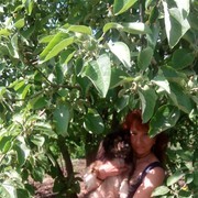 ���������� ������������, ���� ������� �����, 60 ���, ������������ ��� ������, ����� � ���������, c�������� ���������