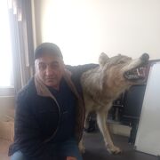 ���������� ����������, ���� ������� �����, 50 ���, ������������ ��� ������, ����� � ���������