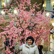  Algiers,   , 25 ,  