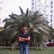  -,   , 40 ,   