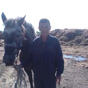  -,   , 54 ,     , c , 