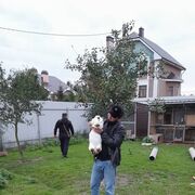  ,   , 35 ,   ,   