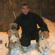  ,   GRAID WITO, 51 ,   