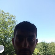  ,   Grifini, 37 ,   ,   