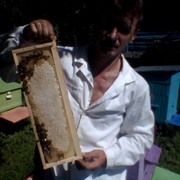 ���������� ������, ���� ������� 00000000, 54 ����, ������������ ��� ������