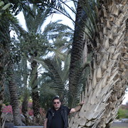 ���������� �����-���������, ���� ������� �����, 65 ���, ������������ ��� ������, ���������