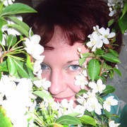 ���������� ��������, ���� ������� ����, 40 ���, ������������ ��� ������, ����� � ���������, c�������� ���������