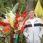  ,   , 53 ,   