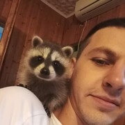 ���������� �������, ���� ������� ���������, 31 ���, ������������ ��� ������, ����� � ���������, ���������